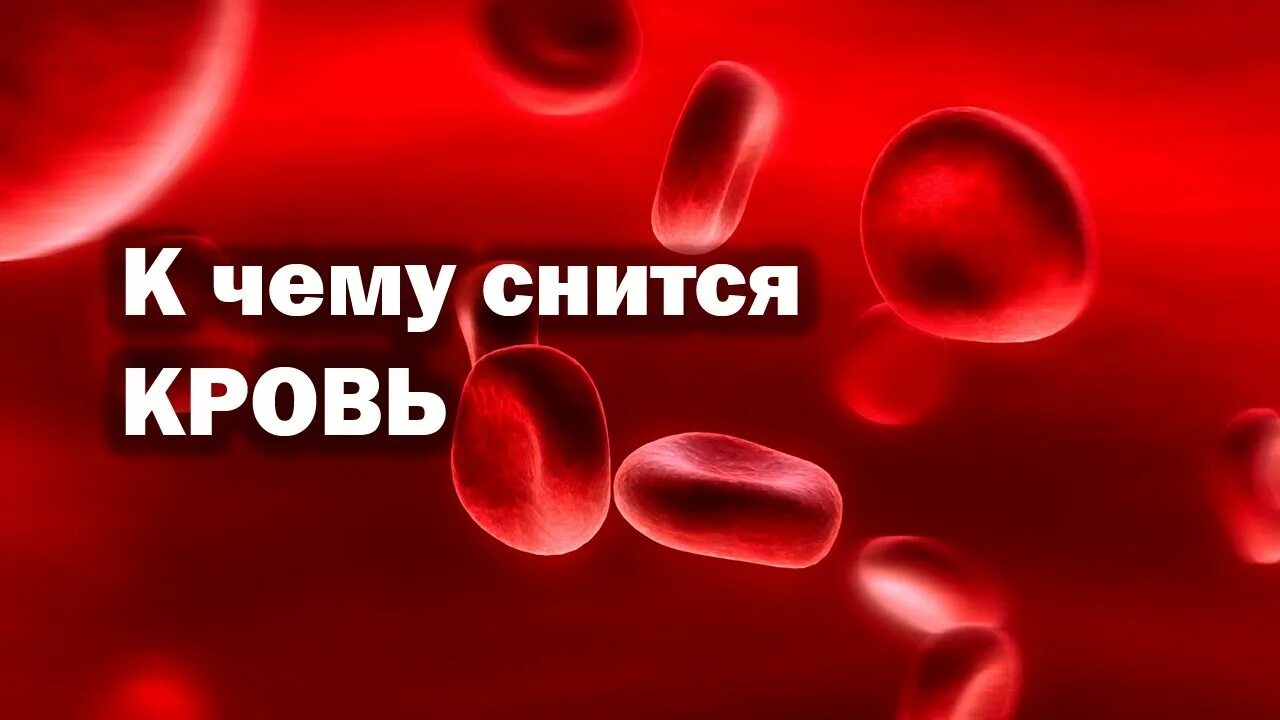 К чему снится видеть кровь месячные. Видеть кровь во сне к чему это. К чему снится кровь во сне.