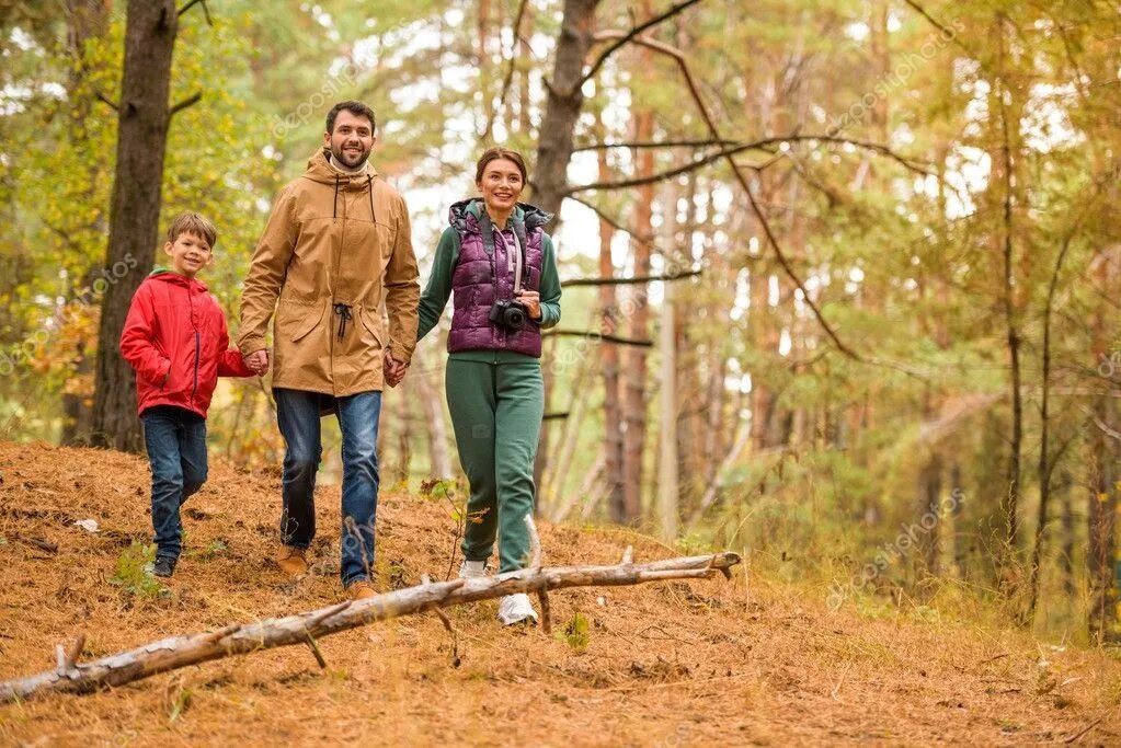 Прогулка по лесу старшая. Прогулка в лесу. семья на прогулке. семейная прогулка. семейная прогулка по лесу.