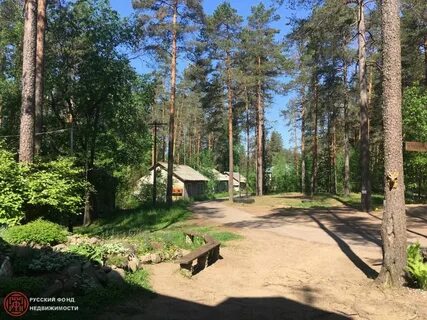 Квартира рощино ленинградская область