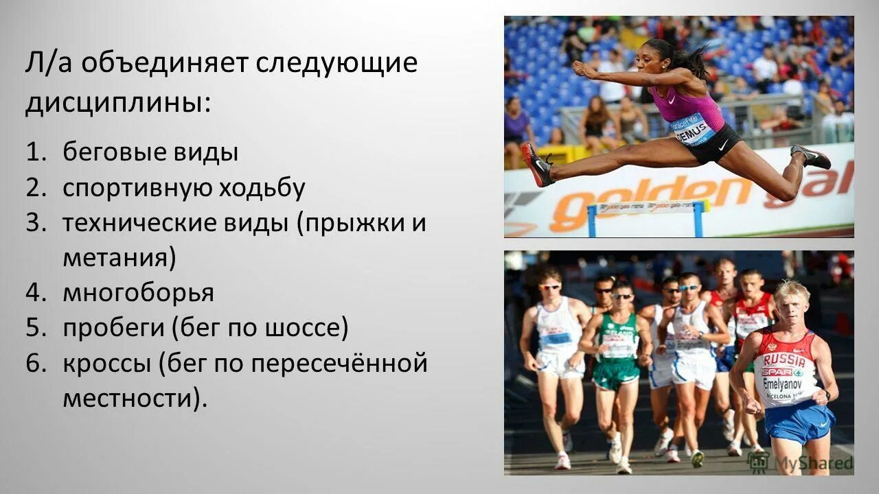 Какие виды спорта включает легкая атлетика. Беговые дисциплины в легкой атлетике. Виды легкой атлетики. Виды спортивных дисциплин. Бег ходьба прыжки метание.