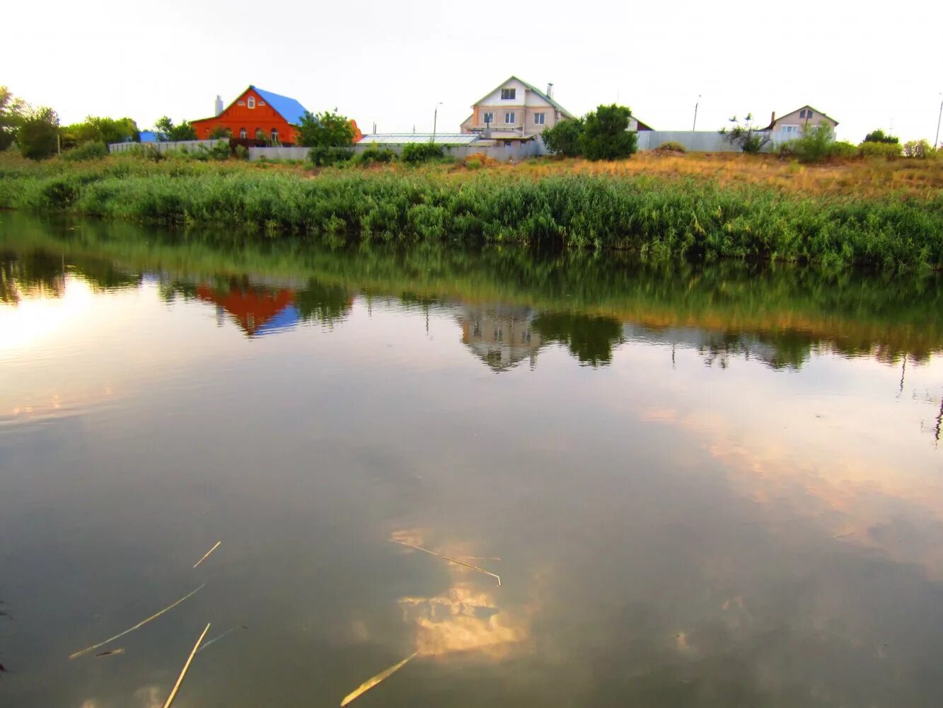 У пруда волгоградская область. Пруды волгоградская обл. Пруды волгоградская обл. Линёво жирновсеий район пруд. Городской пруд михайловка волгоградской области.