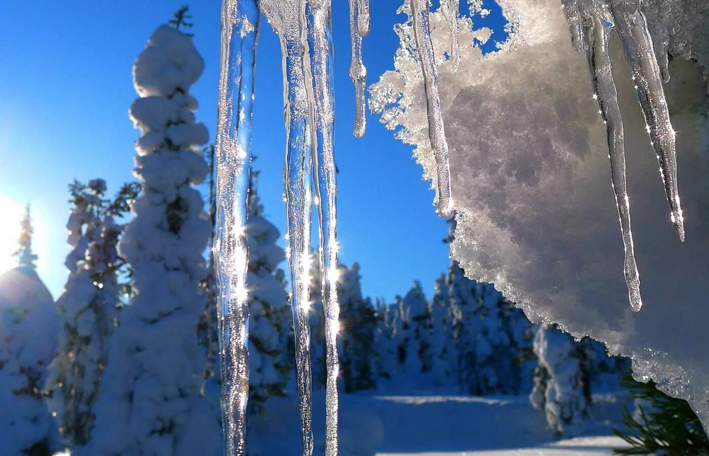 Потепление в январе. Февраль природа. Оттепель зимой. Ледяные сосульки.