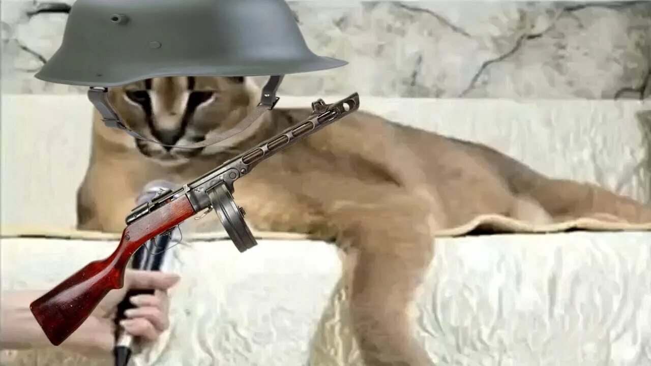 Шлеп магазин. Кот с автоматом. кот с пистолетом. шлепа кот с пистолетом. коты с оружием.