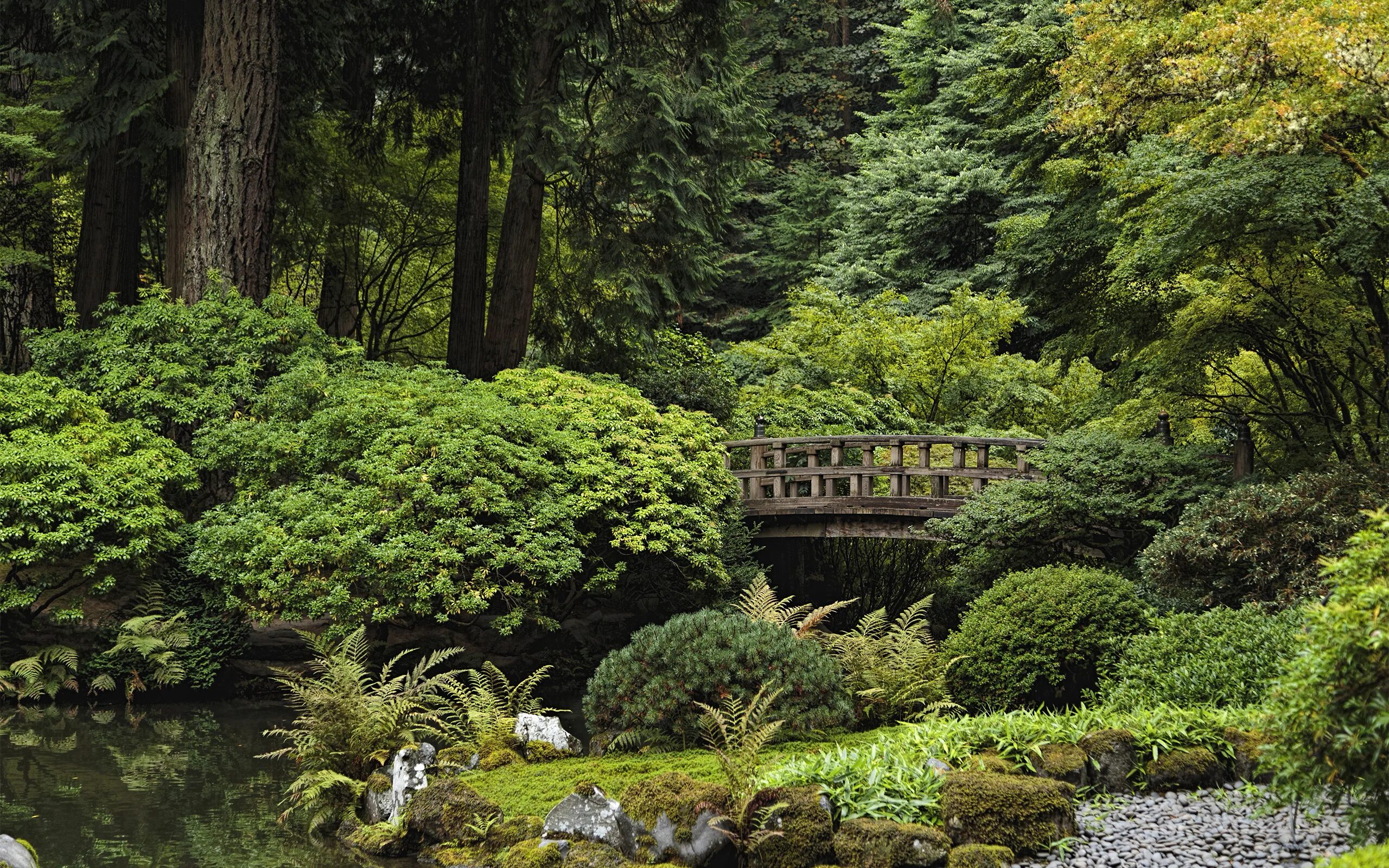 10 Garden Ideas to Steal from Japanese Zen Masters - Gardenista Japanese garden 
