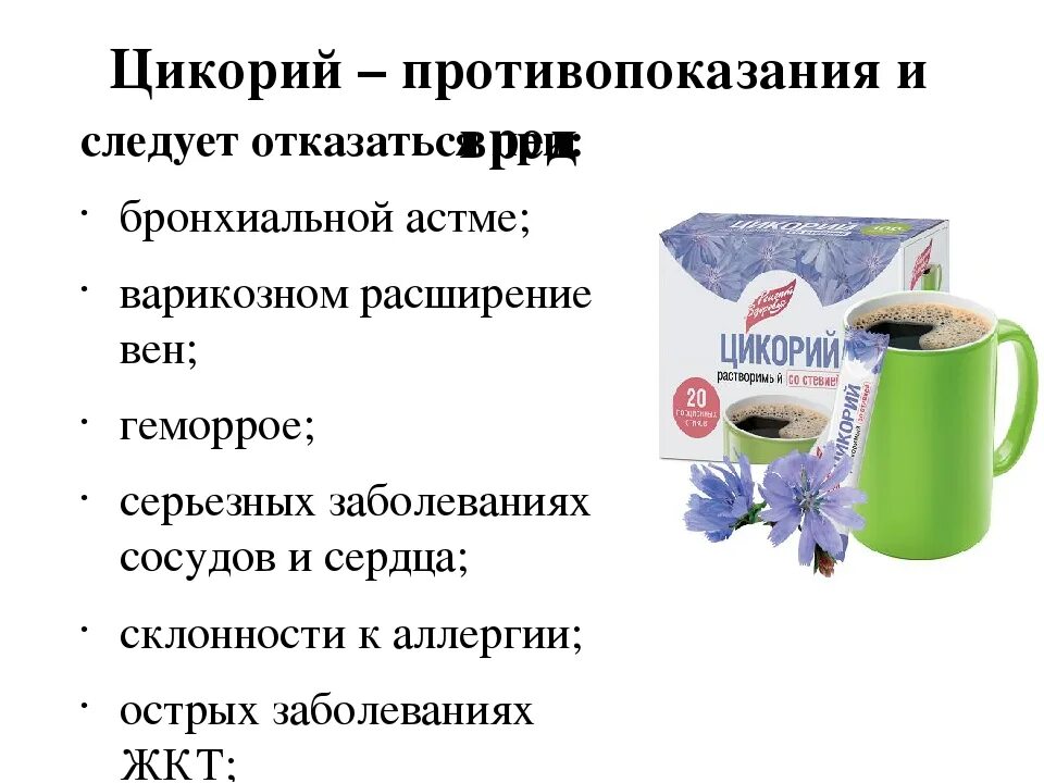 Кому противопоказано пить. Цикорий польза и вред для здоровья. Цикорий польза и вред. Цикорий польза. Чем полезен цикорий для организма.