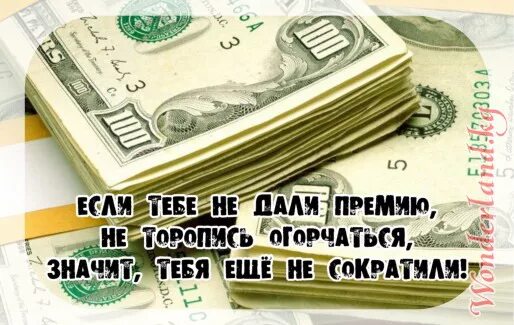 Премия смешные картинки. Стихи про премию прикольные. Спасибо за премию. Когда не дали премию картинки.