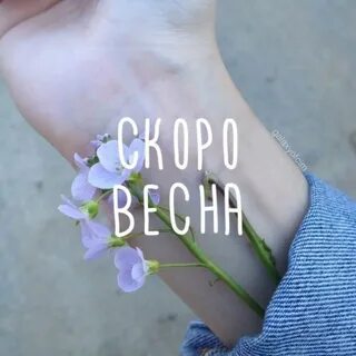 Песня ты моя хорошая на весну похожая