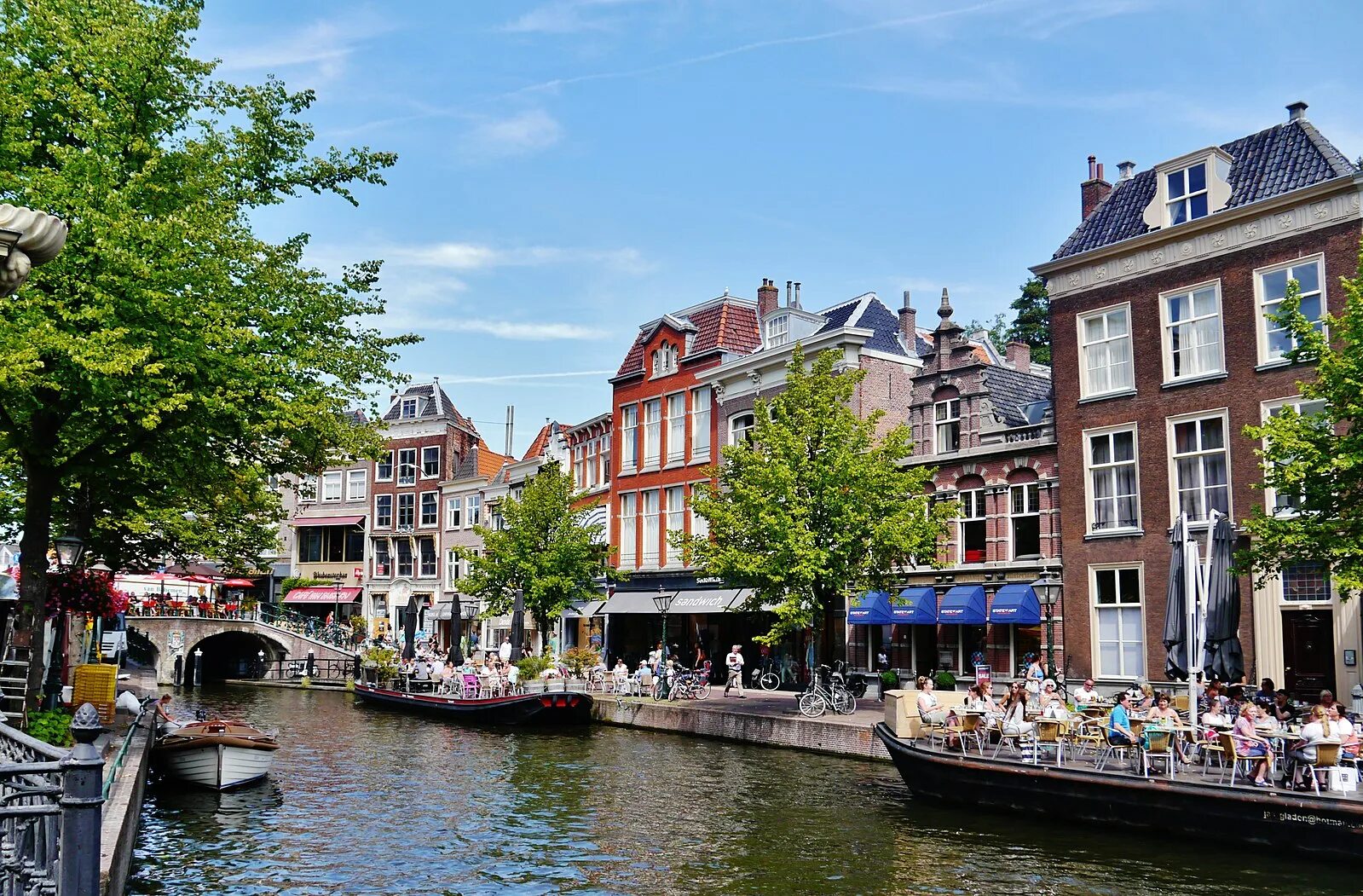 Die leiden