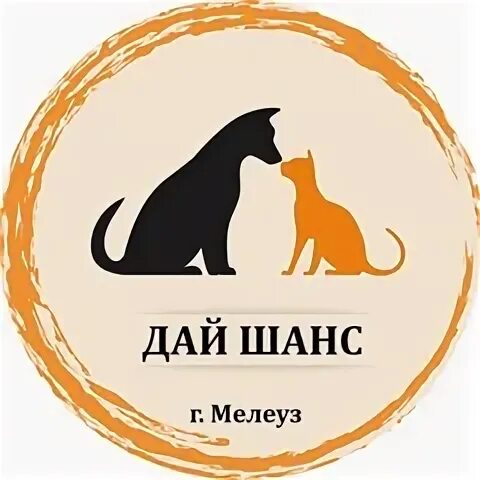 Подари им шанс зоозащитное