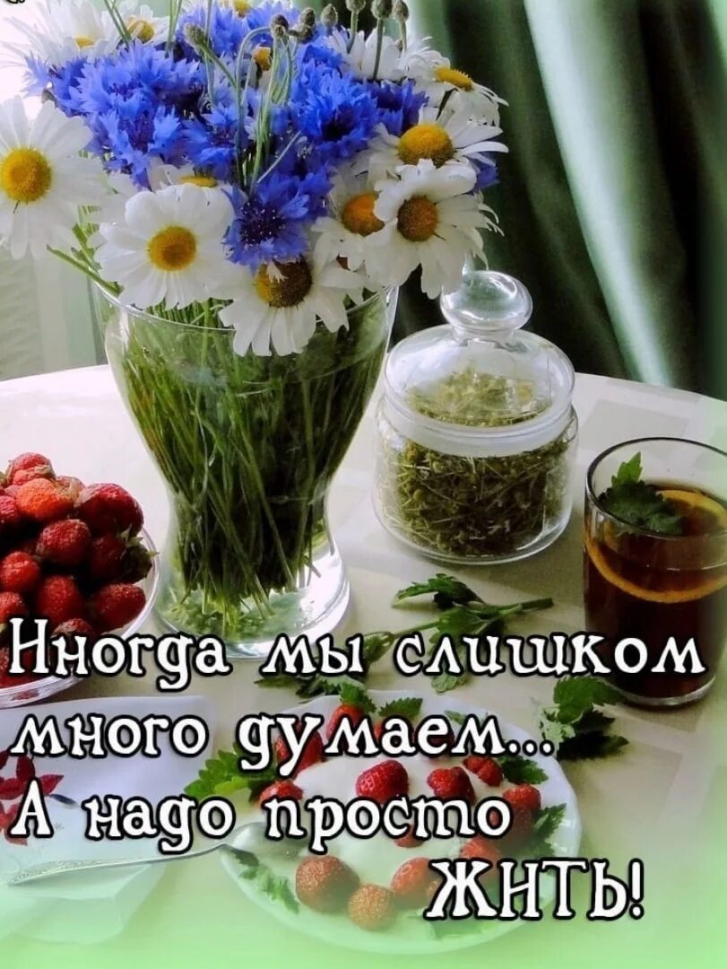 Цените утро. Доброе утро цените семью. доброе утро цените людей чтотрядом.
