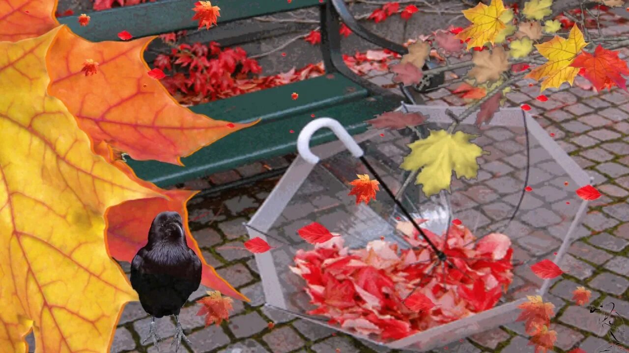 Стих осень она не спросит осень она придет. Осень она не спросит. Осень она придет. Осень она придет. Песня осень она не спросит.