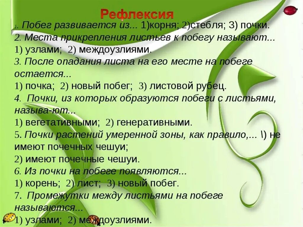 Какие функции выполняет побег. Побег и почки 6 класс биология. презентация на тему побег и почки. проект на тему побег. презентация побег.