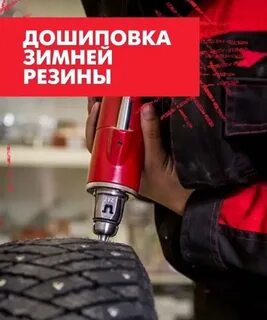 Дошиповка зимних