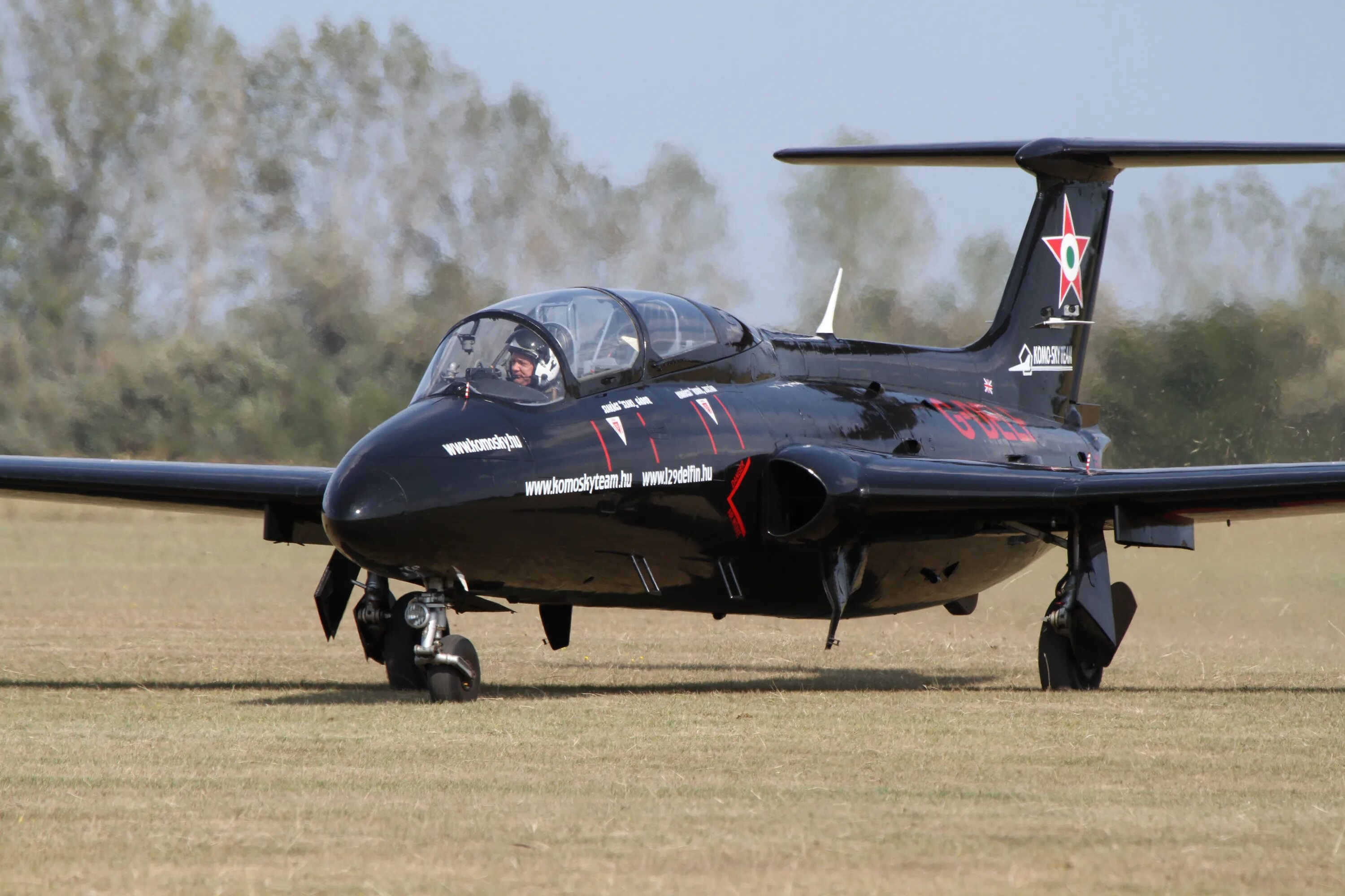 Л-29 Дельфин. Л-29 "Дельфин" (2х-местный). L29 Дельфин кабина. Учебный истребитель л-29.