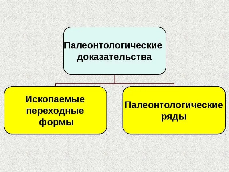Урок макроэволюция палеонтологические методы изучения эволюции. Палеонтологические доказательства микроэволюции. палеонтологические доказательства макроэволюции. макроэволюция доказательства эволюции. эмбриологические доказательства макроэволюции.