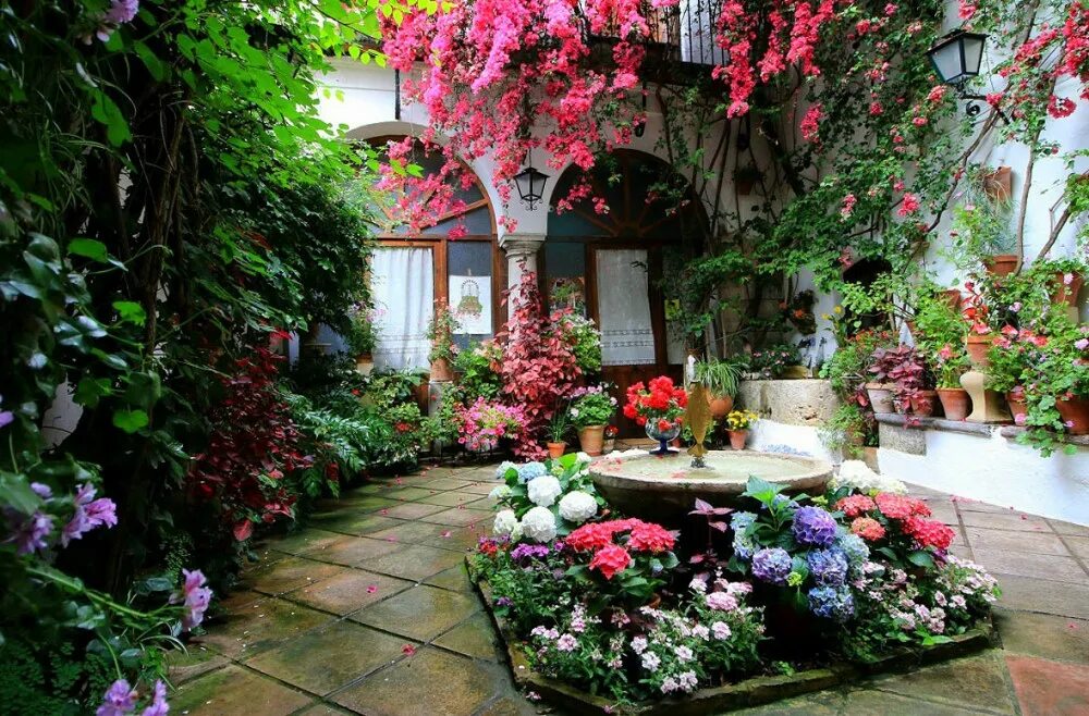 патио в средиземноморском стиле. сочи испанский дворик. фестиваль патио в кордове. внутренний дворик зелень. прекрасный дворик.