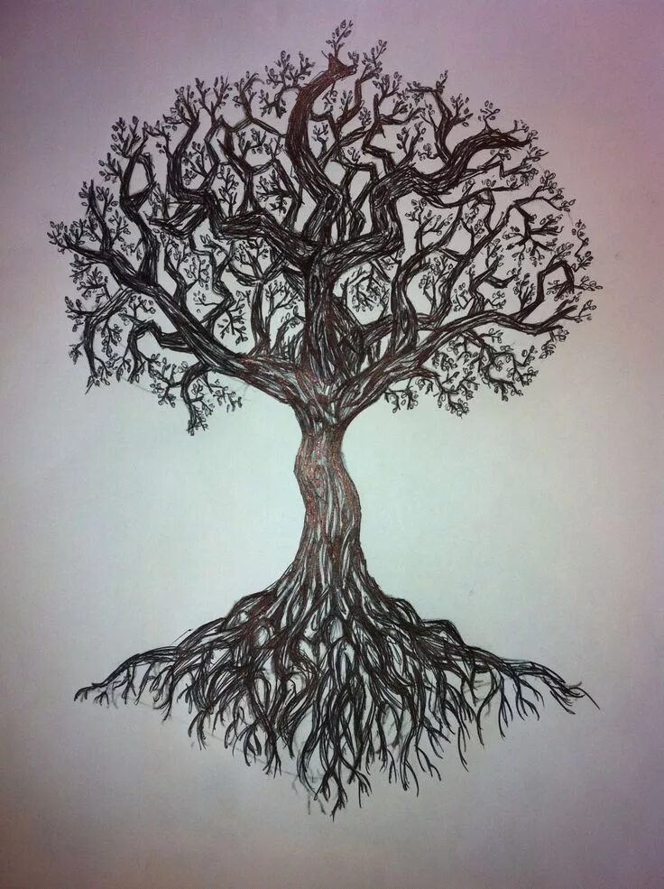 A tree without roots