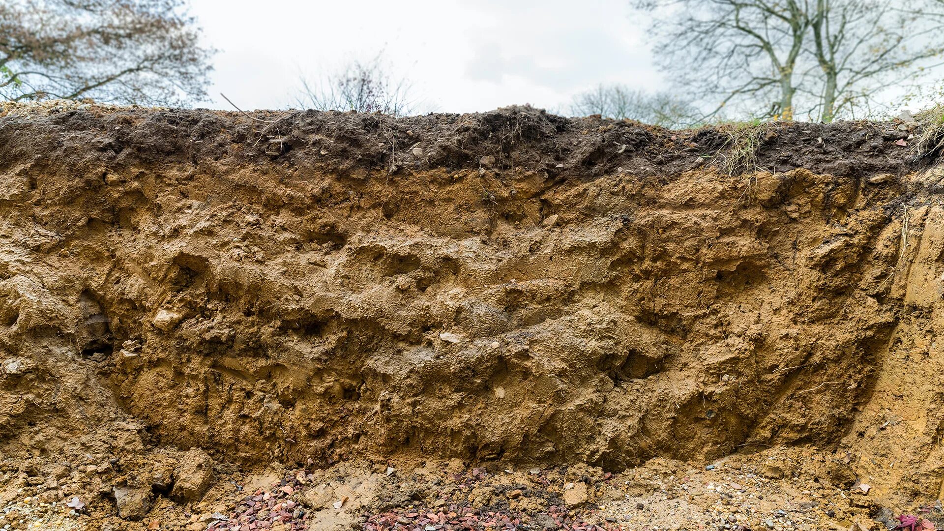 почвенный разрез чернозема обыкновенного. покажи грунта. покажи грунта. плодородная земля. почвенный разрез суглинка.