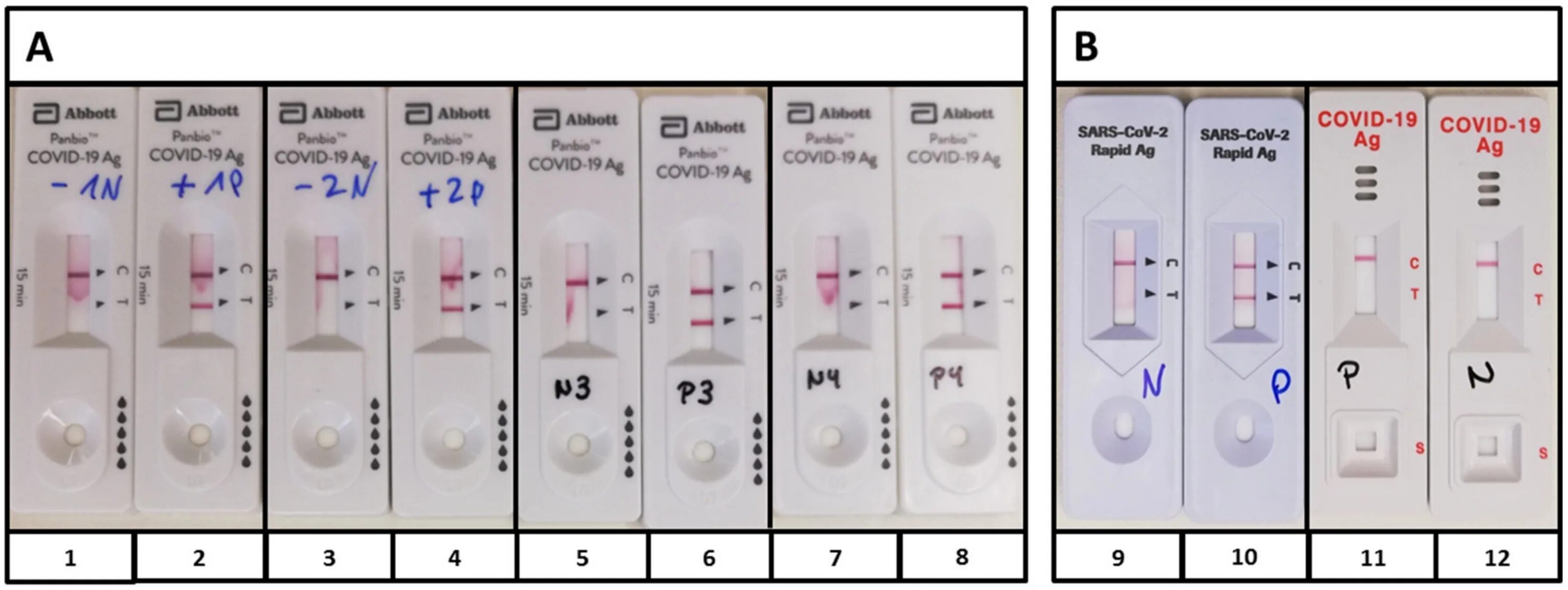 Какие вайбы исполнителей тест. Covid 19 ag rapid test инструкция. covid-19 antigen rapid test инструкция. sars cov 2 ag rapid test инструкция. тест covid-19 ag расшифровка.