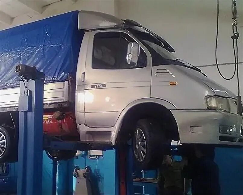 Газели елец