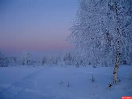 Перед восходом на поляну ложится первый мороз