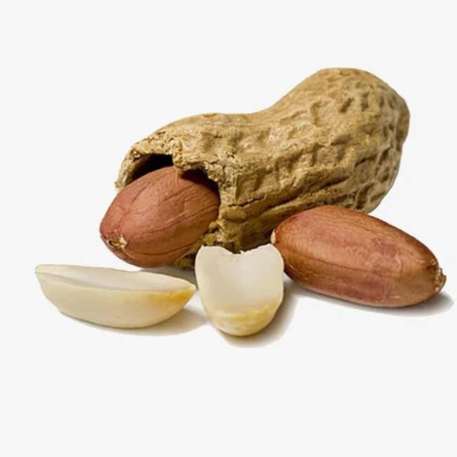 Peanuts 1