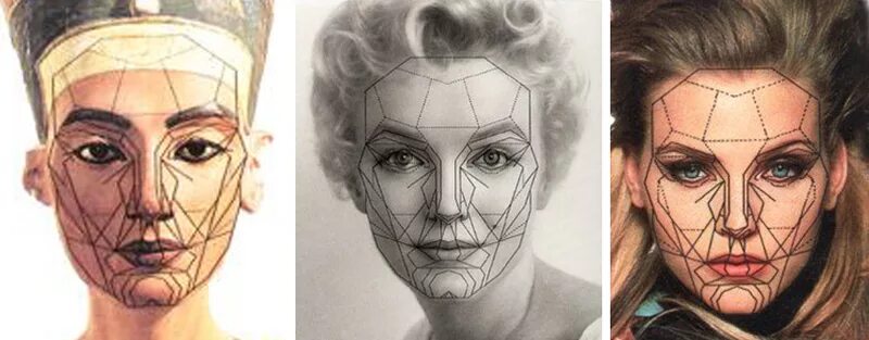 Идеальное лицо по золотому сечению. Золотое сечение в лице человека. Лицо в золотом сечении. Идеальное лицо человека. Золотое сечение лица джоли.