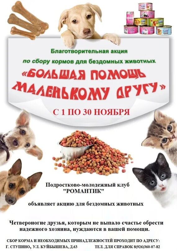 Благотворительная акция по сбору корма для бездомных животных. Помощь маленькому другу акция. Большая помощь маленькому другу акция. Большая помощь маленькому другу. Большая помощь маленькому другу акция.