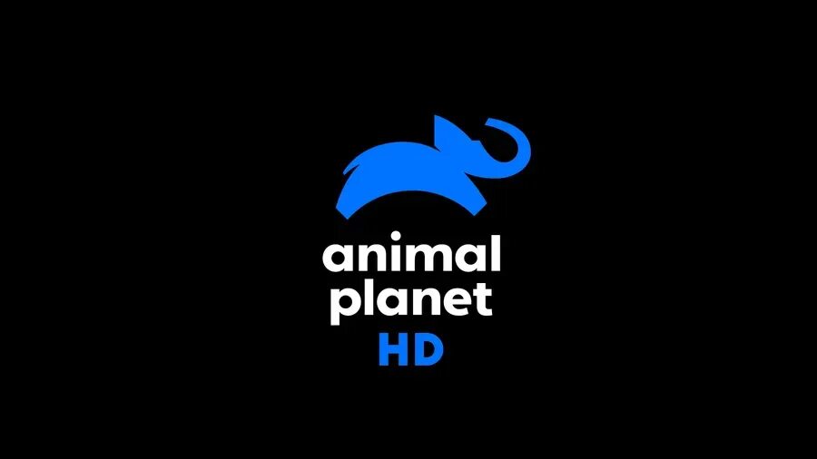Канал animal planet. Канал анимал планет. Моя планета channel logo. Энимал планет логотип. Канал анимал планет.