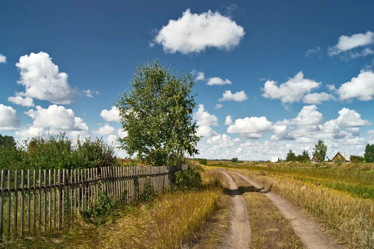 Поселковая дорога. Деревенские тропинки Марий Эл. Деревня природа Проселочная дорога. Сельская Проселочная дорога. Деревенская Проселочная дорога.