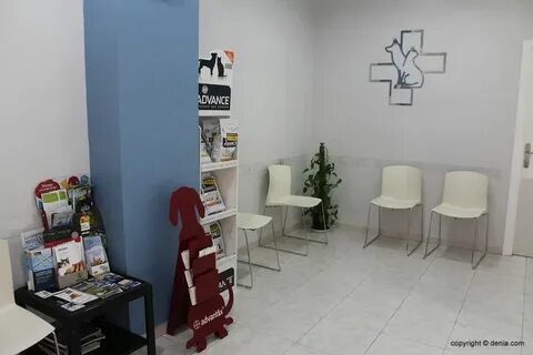 Ветклиника илай орел