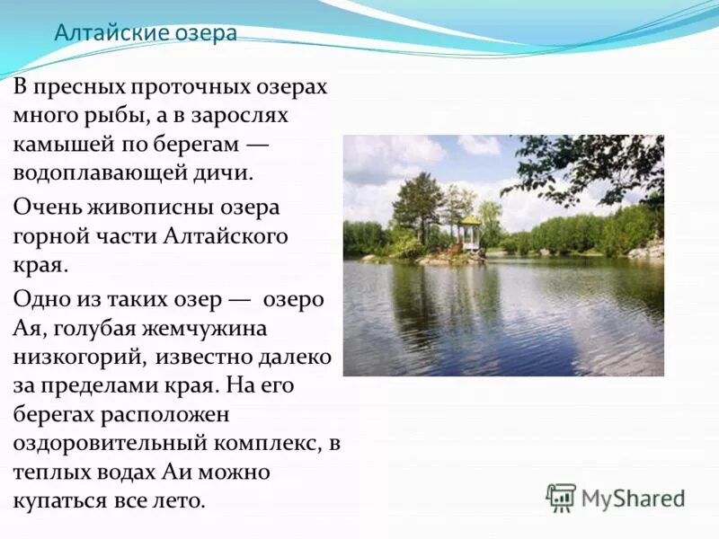описание озер алтайского края. описание озер алтайского края. протяженность телецкого озера. реки и озера алтайского края алтайского края. реки озера алтайского края 4 класс.