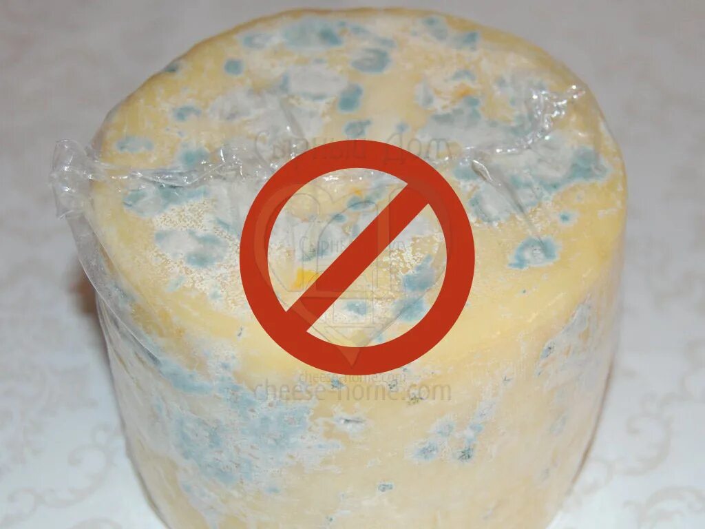 Заплесневевший сыр можно есть. Испорченный сыр. плесень на продуктах. сыр с плесенью. сыр заплесневел.