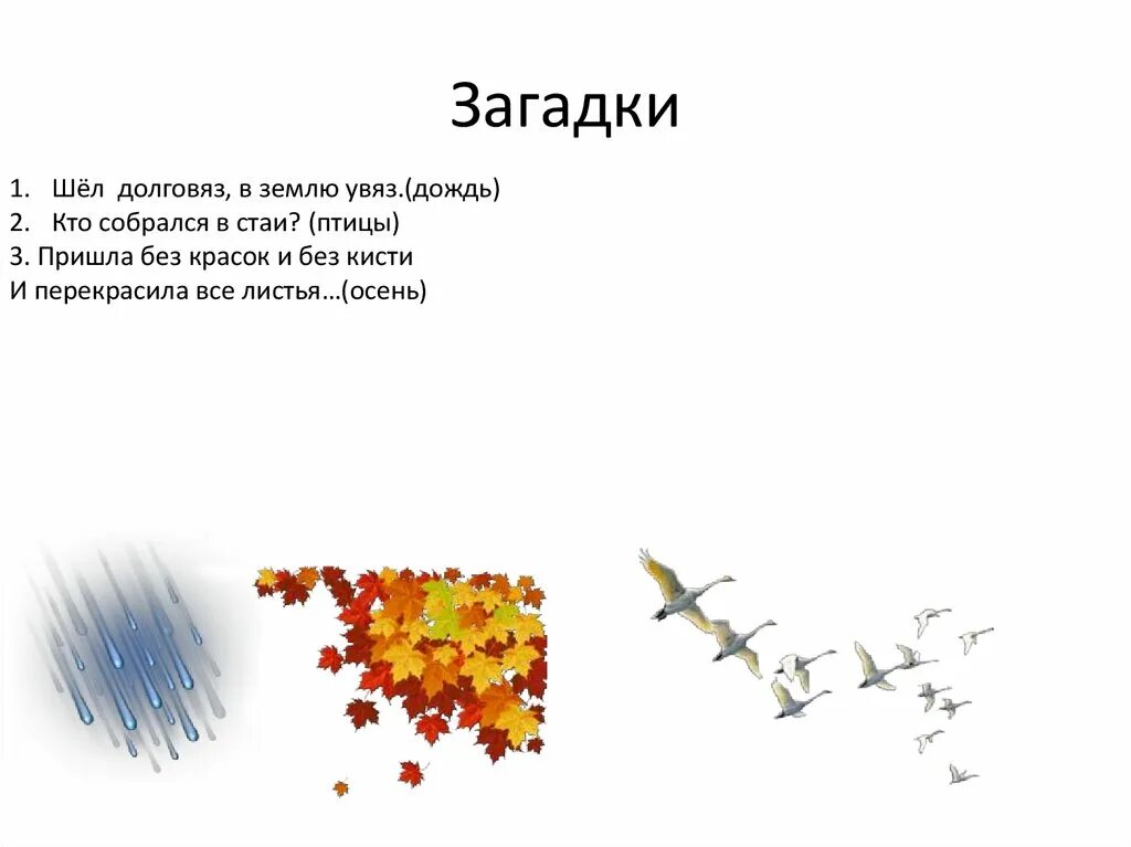 Загадка летела стая птиц. Загадки про дождь. Загадка долговяз в землю. Загадки на тему дождь. Загадки на дождливую тему.