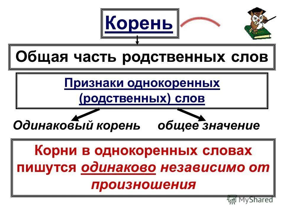 Слово имеющее общий корень со словом дворец. Корень это общая часть родственных слов. Однокоренные слова с корнем общ. Родственных слов общее значение. Общая часть родственных слов с одинаковым значением что это.