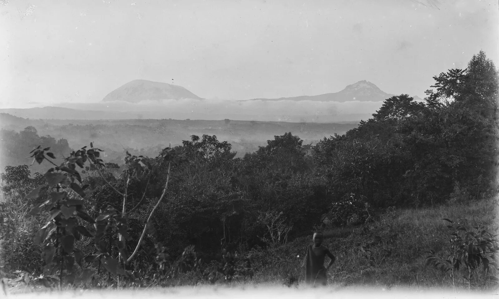 Экспедиция Милановского в Африке. Экспедиция в африку 1926 1927