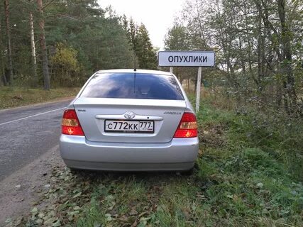 Погода деревня опухлики псковская