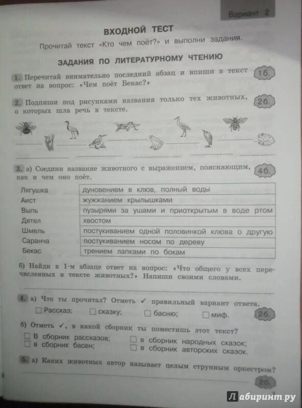 Комплексные работы по текстам. Комплексные работы по текстам тексты. Комплексные задания к текстам третий класс. Холодова комплексные работы. Вариант 21 работа с текстом 4 класс