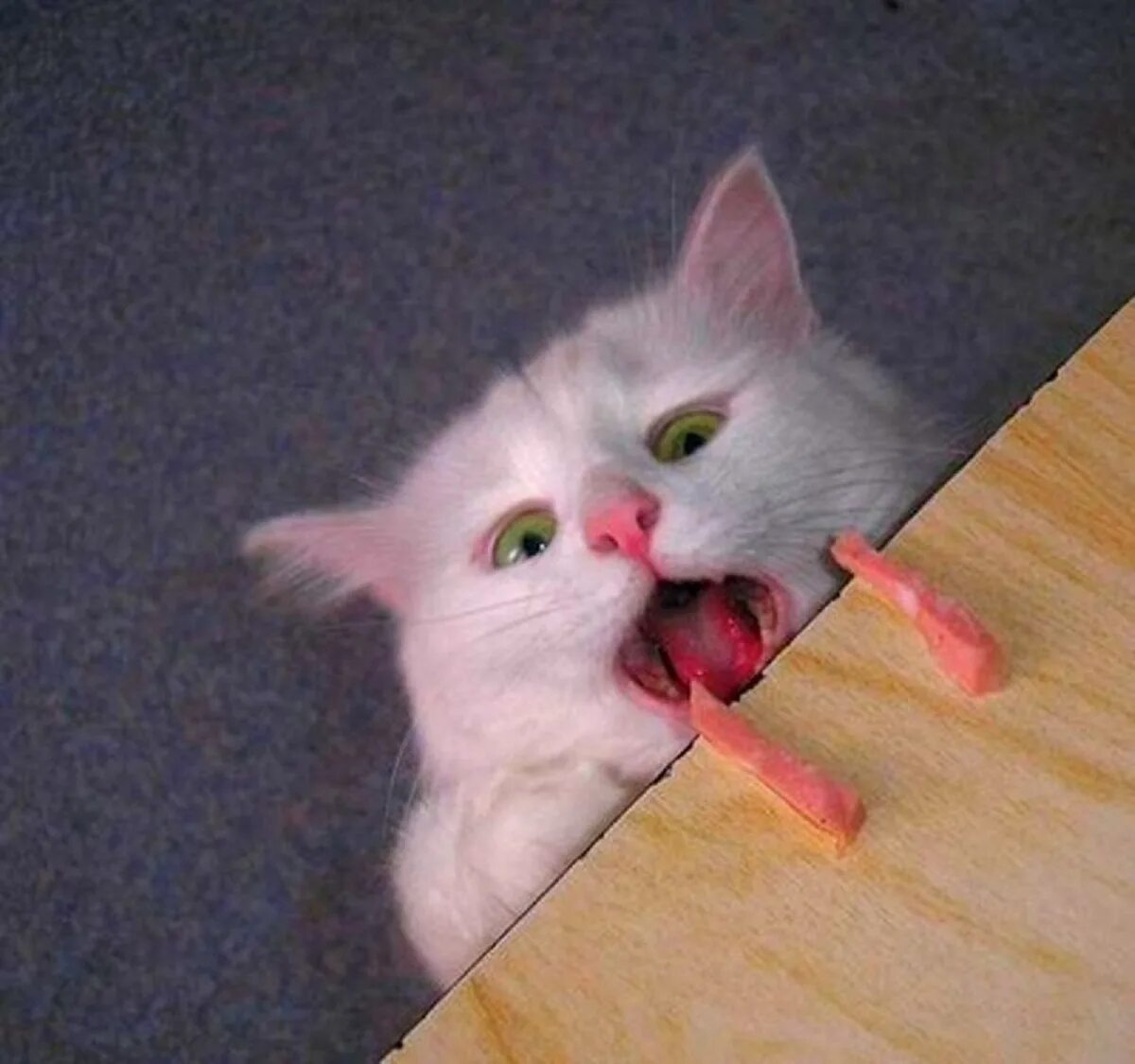 2 кусочка. Котенок с сосиской. Кот с колбасой Мем. Колбаса с лапами кота. Котик с сосиской во рту.