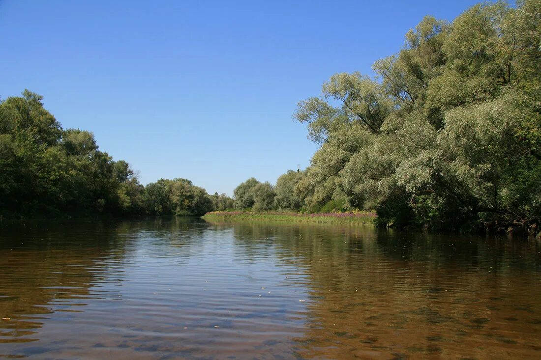 Река днепр куда. Исток реки днепр. исток реки днепр фото. река днепр в смоленской области. днепр великая река.