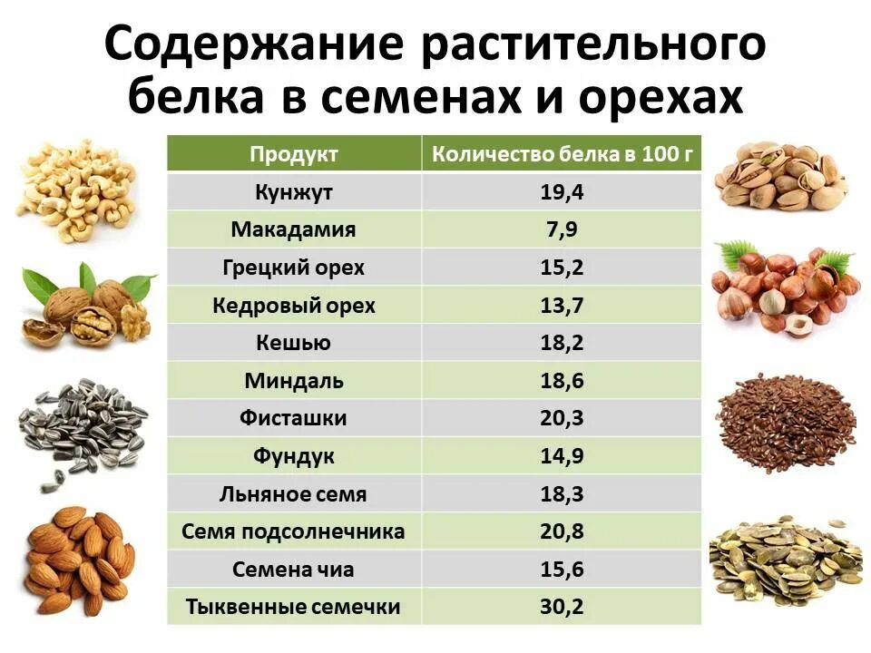 Содержится огромное количество. Продукты с высоким содержанием белка. Растительный белок продукты. Продукты содержащие белки. Самые высокобелковые растительные продукты.