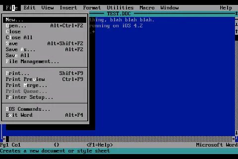 Ms dos word