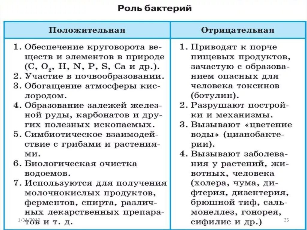 Положительная роль бактерии биология 5. Положительные и отрицательные качества бактерий. Отрицательные качества бактерий. Значение бактерий положительные и отрицательные