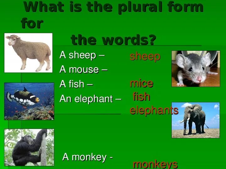 названия игрушек на английском. школьные предметы на английском языке с переводом. учим английский картинки. лексика по теме еда. как будет по английски тема.