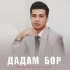 Дадам бор