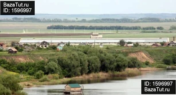 Село Кошели Саратовская область. Село Кошели Воскресенский район. Кошели Саратовская область карта. С.Воскресенское Саратовской обл. Кошели саратовская область