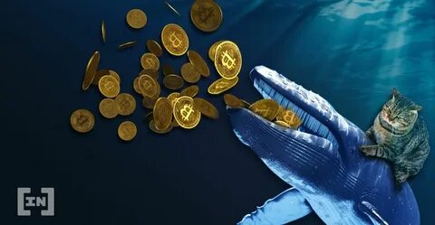 Whales wallet