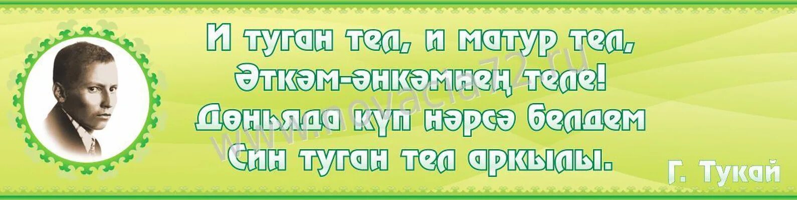 Высказывания татар. Высказывания о татарском языке. Цитаты о родном языке на татарском языке. Афоризмы на татарском языке. Цитаты татарских писателей о родном языке.