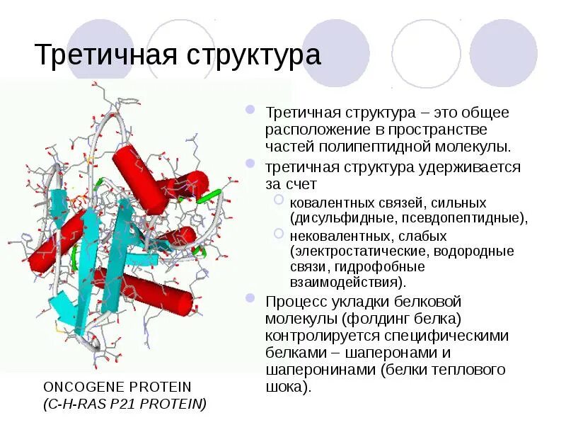 Биохимия значение. Введение в биохимию. биохимия для презентации. третичная структура белка биохимия. введение в биохимию презентация.