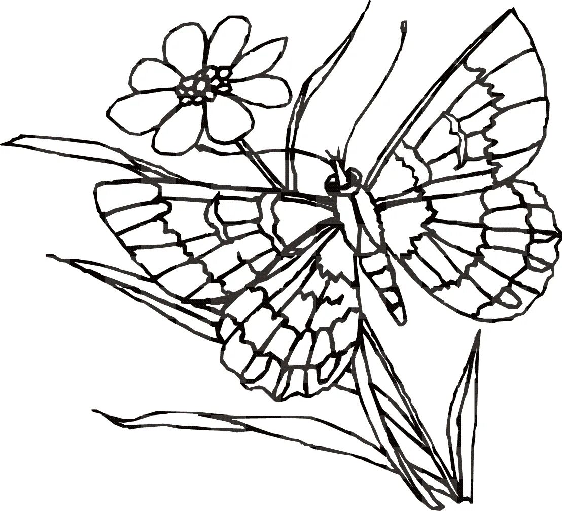 Цветок бабочка рассказ. Раскраска "бабочки". Цветы и бабочки. Раскраска. Бабочка раскраска для детей. Бабочка на цветке раскраска для детей.